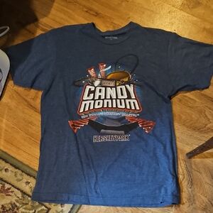 Hershey Park T Shirt Size Large